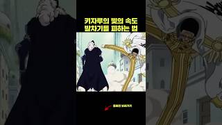 빛의 속도 발차기를 피하는 방법 키자루 물리학 원피스 [upl. by Ameekahs816]