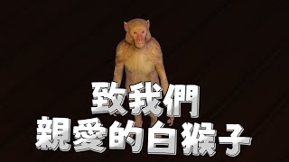 【廢棄之城RP】補齊缺少的那一塊  Ren貓夜凜KasTSMATCH火柴赤羽亞矢  32829 Grand Theft Auto V [upl. by Irep]