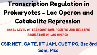 Transcription Regulation in Prokaryotes  Lac Operon and Catabolite repression msc csirnet bsc [upl. by Sura901]