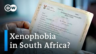 Why does South Africa want to deport Zimbabwean residents  DW News [upl. by Notanhoj532]