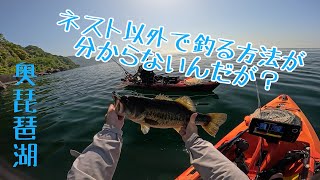 【琵琶湖バス釣り】スポーニング真っ盛りの海津大崎はどうしようもねぇ [upl. by Aeneg]