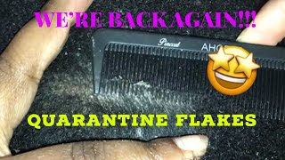 WERE BACK AGAINSCRATCHING DANDRUFF FLAKES IN QUARANTINE Scratchers Anonymous ASMR DANDRUFF [upl. by Kyre]