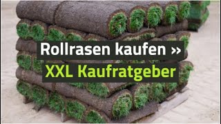 Rollrasen kaufen » XXL Kaufratgeber [upl. by Tonl557]