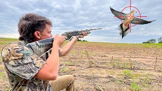 DOVE HUNTING Opening Day with The BOYS catch clean cook [upl. by Yslehc]