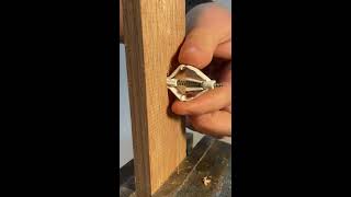 Dry wall anchor  how works [upl. by Eberhard606]