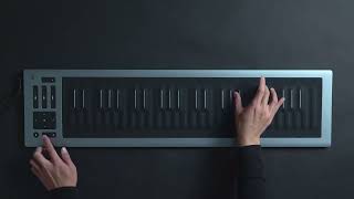 Seaboard RISE 2 and Equator2 A match made in musical heaven [upl. by Hinda]