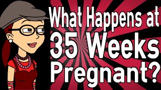 What Happens at 35 Weeks Pregnant [upl. by Pelage400]