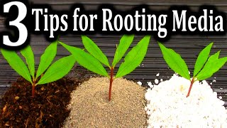 The BEST Medium for Rooting your Cuttings  3 Criteria for Successful Plant Propagation [upl. by Mathew972]