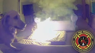 Dog starts house fire in Oklahoma by chewing on lithiumion battery [upl. by Akirrehs]