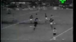 Botafogo 2 x 2 Flamengo Carioca 1975 [upl. by Harlene]