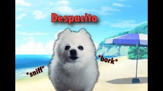 Despacito  gabe cover [upl. by Dynah576]