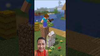 steve hited iron golem from above minecraft minecraftgameplay shorts games [upl. by Htehpaj891]