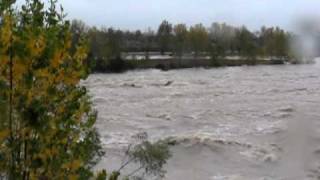 Il Piave in piena a Ponte della Priula 2 novembre 2012 ore 1230 [upl. by Neret]