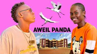 AWEIL PANDA BY PIOTH PEACE  UKARO [upl. by Einamrej]