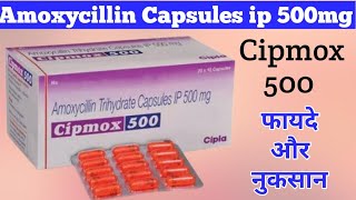 Cipmox 500 Capsule Uses Dosage And Side Effects  Amoxycillin Capsules ip 500mg  फायदे और नुकसान [upl. by Monney46]