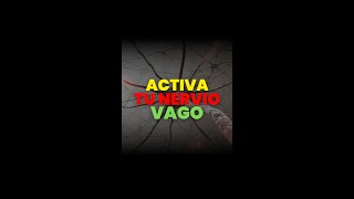 ACTIVA tu NERVIO VAGO para MEJORAR tu SALUD [upl. by Ailisec]