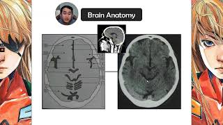 Anatomi otak CT Scan SO EZ la [upl. by Eylatan181]