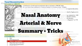 Nasal Anatomy Arterial amp Nerve Summary Tricks [upl. by Norse]