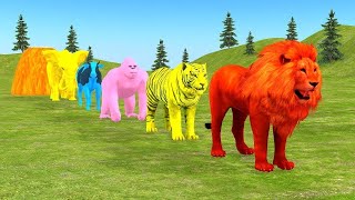 Long Slide Game With Elephant Gorilla Buffalo Hippopotamus Tiger  3d Animal Game  Funny 3d Animals [upl. by Idissak]