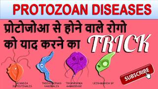 PROTOZOAN DISEASES TRICK IN HINDI  very important for all competitive examinations [upl. by Ayisan]