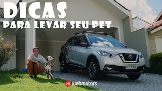 Dicas Para Viajar com seu Cachorro com o Nissan Kicks For Pets [upl. by Fasta]