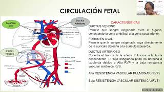 2 Cambios en la adaptación a la vida extrauterina Evaluación del recién nacido Dra L Pantoja [upl. by Bluhm]