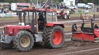 Panten 2024 Trecker Treck bis 70 PS 💥 Oldtimer [upl. by Tristas]