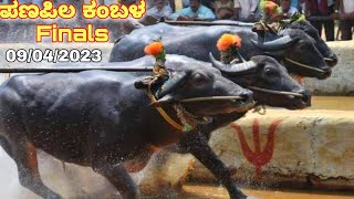 Panapila kambala 2023 final race and results  ಪಣಪಿಲ ಜಯ  ವಿಜಯ ಜೋಡುಕರೆ ಕಂಬಳ 2023 ಫಲಿತಾಂಶ 13 year [upl. by Nadnarb]