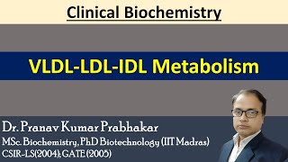 VLDL IDL LDL Metabolism [upl. by Riti347]