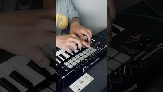 Novation Launchkey Mini 25  Pads 🎹🔥 [upl. by Favin]