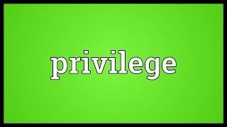 Privilege Meaning [upl. by Grimaldi701]