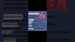 Stridor quotSerious Squeakquot Abnormal lung sounds [upl. by Islaen296]