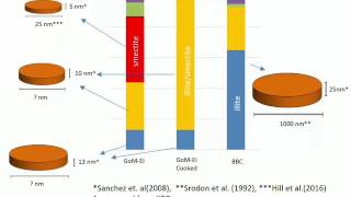 SmectiteandIllite [upl. by Watkin]