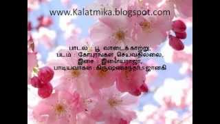 Poovaadai Kaatru Tamil Karaoke For Male Singers [upl. by Olenolin]