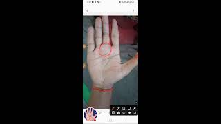 Palmist Bhardwaj is live [upl. by Jahn]