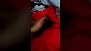 exclusivo EXORCISMO EM CACHORRO FEROZ [upl. by Enyamrahs]