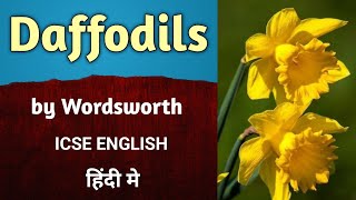 Daffodils by William Wordsworth in Hindi  Poem  ICSE  English  treasure trove  English For All [upl. by Edmee]