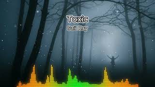 Toxic  Saii Kay [upl. by Kesley]