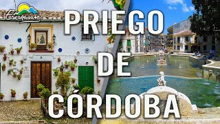 PRIEGO DE CÓRDOBA uno de los pueblos MÁS bonitos de ESPAÑA [upl. by Ahsilla]