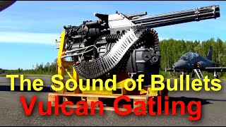 Vulcan Gatling gun Sound M61 20 mm F18 Hornet gun [upl. by Enawd]