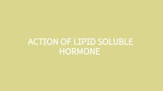 Action of lipid soluble hormone [upl. by Adiene]