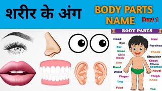 Human Body Parts Name Hindi and English With Pictures  शरीर के अंग  Name Of Body Parts  bodyprt [upl. by Duyne81]