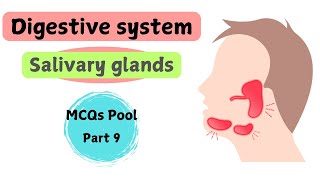 Salivary glands  Digestive System  gross anatomy  MCQs pool  part 9 [upl. by Cutty]