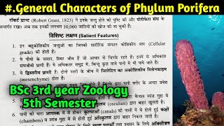 General characteristics of phylum Porifera in hindi  BSc 3rd year Zoology 5th Semester [upl. by Ayeki]