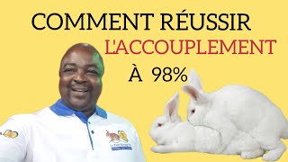 COMMENT BIEN RÉUSSIR LACCOUPLEMENT DUNE LAPINERÉUSSIR LA SAILLIE élevage de lapins au Cameroun [upl. by Ameh251]