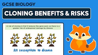 Benefits and Risks of Cloning  GCSE Biology [upl. by Berthold]