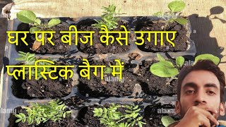 बीज कैसे उगाऐ घर पर। Seeds germination Process in hindi ।How to germinate vegetable seeds in hindi [upl. by Deacon786]