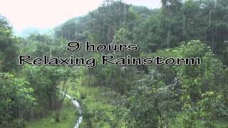 Heavy Rainfall Thunder soundsSleepRelaxFocusMeditateHD 1080p [upl. by Murielle]