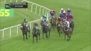 2017 Bet365 Gold Cup Chase [upl. by Cyrill]