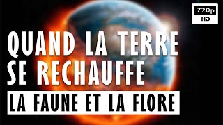 🌍 Quand La Terre Se Réchauffe  La Faune Et La Flore  Documentaire Environnement  Arte 2022 [upl. by Blas]